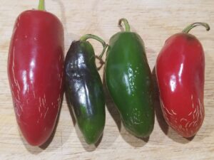 Red and Green Jalapeno Peppers