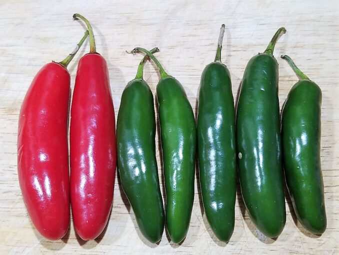 Serrano Pepper Serrano Pepper