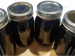 Jars of Black Raspberry Jelly